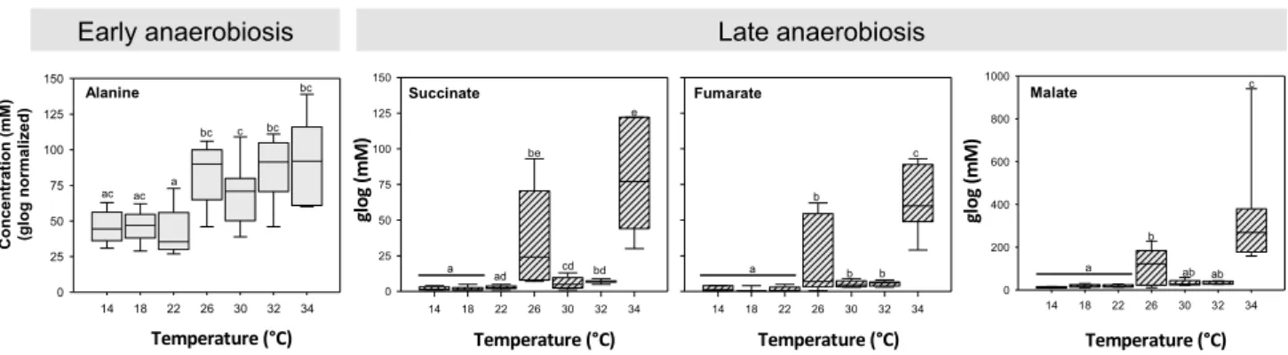 Fig. 8    Impact of acute warming on the levels of gill metabolites in  O. edulis. Concentrations (mM) were glog transformed, normalized  and analyzed by one-way ANOVA, followed by a post-hoc test
