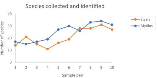 Fig. 3. Number of epibiotic species collected and identified in the 10 samplings of the two biogenic substrates – Styela  clava (Styela) and Mytilus edulis (Mytilus)