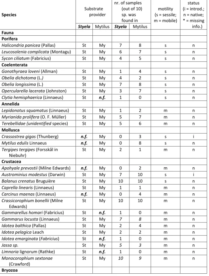 Table 5. List of species identified on the two substrate providers, Mytilus (My) and Styela (St), the number of samples the  species where identified in, locomotive properties (sessile or mobile) and species status in the Sylt area (i - introduced, n –  na