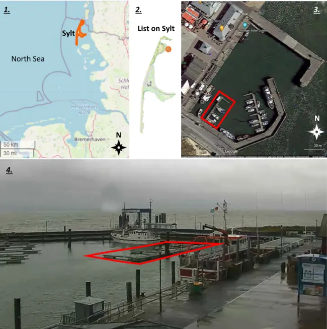 Fig. 2. The location of the study. Highlighted: 1. the island of Sylt, in the German Wadden Sea; 2