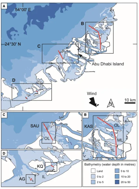 Fig. 2. Geographical location and bathymetry of the study area (sample transects are indicated by the red lines in black frames)