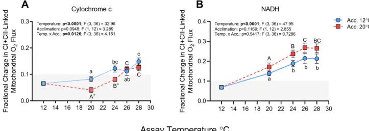 Figure 5.  Maximum substrate oxidation capacity (ETS-I + II) and complex IV (CIV) capacity in cardiac  mitochondria from cold- (12 °C) and warm- (20 °C) acclimated salmon when measured at 20, 24, 26 and 28 °C
