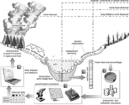Figure  1:  Basic  processes  and  workflow  when  using  macroscopic  charcoal  as  a  fire  proxy  (C ONEDERA  et al