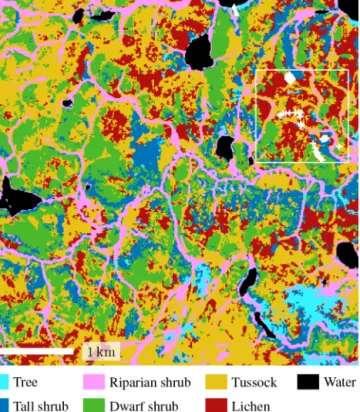 Figure 2. Vegetation map of the study region using the vegetation types as described above (Grünberg and Boike, 2019); the map is based on airborne orthophotos and vegetation height derived from airborne laser scanning (Anders et al., 2018); the white squa