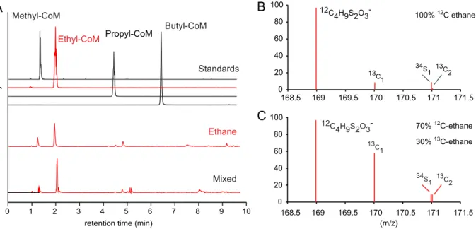 FIG 5 Detection of coenzyme M-bound intermediates in the Ethane50 culture. (A) Top four lines show total ion counts for HPLC peaks for authentic standards of methyl-, ethyl-, propyl-, and butyl-CoM, respectively, and chromatograms for ethane and mixed alka