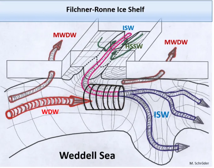 Abb. 1.2: Schematische Darstellung der charakteristischen Wassermassen des südlichen  Weddellmeers und ihrer Ausbreitung und Vermischung im Bereich des Filchner-Trogs und  Kontinentalhanges – Filchner-Ronne Schelfeis im Hinter-, das Weddellmeer im Vordergr