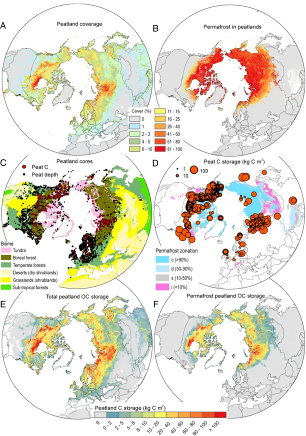 Fig. 1. Peatland data and properties north of 23°N latitude. (A) Estimated areal coverage (in percentage) of peatlands based on the national soil inventory maps and SoilGrids250m