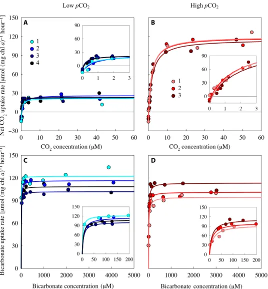Fig. 2. Carbon uptake kinetics of Microcystis PCC 7806 acclimated to either low or high pCO 2 