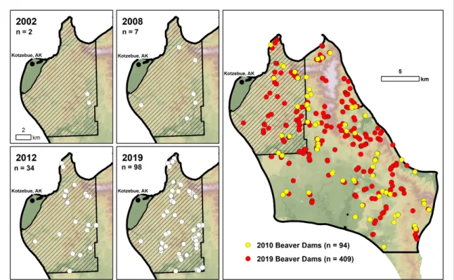 Figure 4. Increase in beaver dams on the northern Baldwin Peninsula in northwestern Alaska between 2002 and 2019