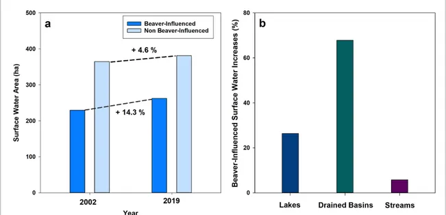 Figure 7. The impacts of beaver dams on changes in surface water extent in the Kotzebue study area