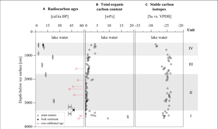 FIGURE 2 | Radiocarbon ages and biogeochemical parameters of Goltsovoye Lake sediment core PG2412