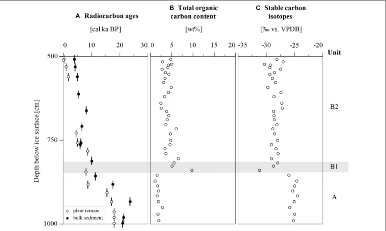 FIGURE 3 | Radiocarbon ages and biogeochemical parameters of Goltsovoye Lake sediment core PG2420