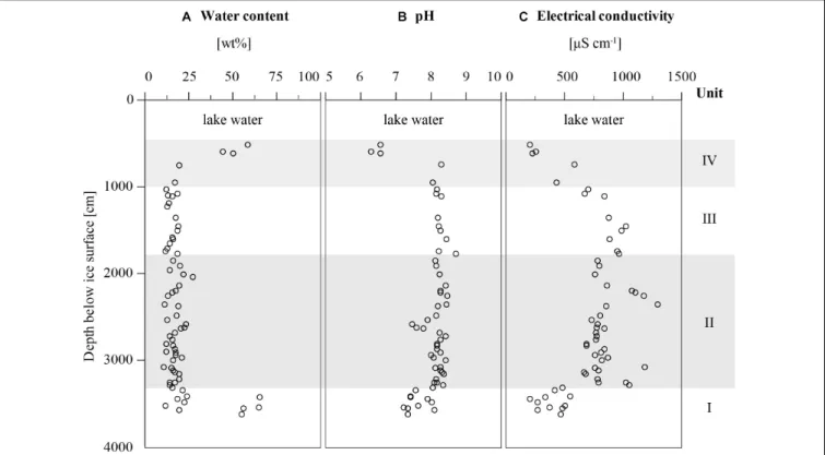 FIGURE 4 | Hydrochemical parameters of Goltsovoye Lake sediment core PG2412. (A) Water content, (B) pH, and (C) electrical conductivity