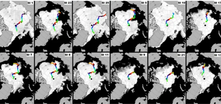 Figure 3.  Backward trajectories derived using the AWI Ice Track application indicate formation zones for  sampled sea ice in the (i) Laptev Sea (cores 1, 23, 25), (ii) East Siberian Sea (cores 5, 10, 17), (iii) Chukchi Sea  (cores 7, 8, 11), (iv) Central 
