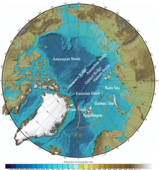 Figure 1: Bathymetric map of the Arctic Ocean, the orange arrows showing Atlantic water (AW) inflow and the green arrows  the importance of riverine inflow (RR)