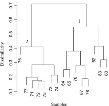 Figure 4: Results of cluster analysis of 15 stations (samples), analysis based on Bray Curtis similarity