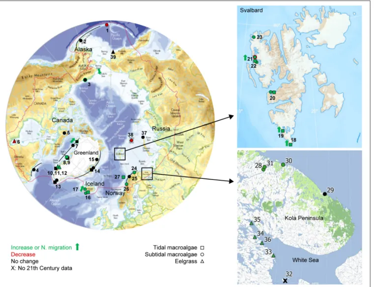 FIGURE 1 | Overview of compiled studies on pan-Arctic marine vegetation trends spanning at least 10 years and entering into the 21th Century