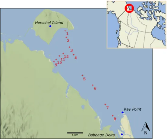 Figure 3.1: Sampling-Locations 2019. Red crosses marked with numbers indicate sampling locations.