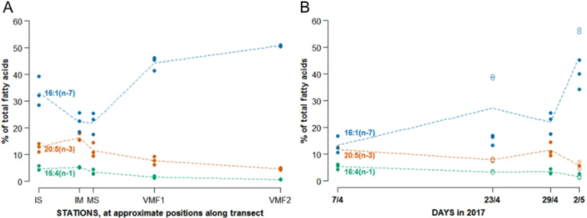 Figure 4. Relative abundances (%) of the most important diatom fatty acid trophic markers, 16:1(n-7),  16:4(n-1) and 20:5(n-3) along the transect (A), and measured at MS over time (B)