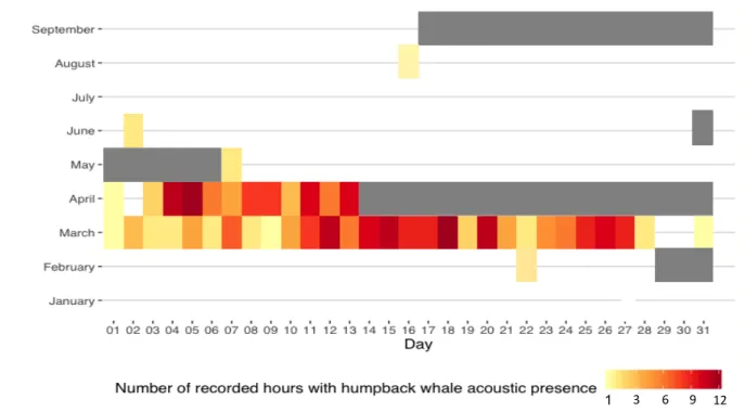 Table 4: Results of the Kruskal-Wallis Test for the acoustic presence among different months