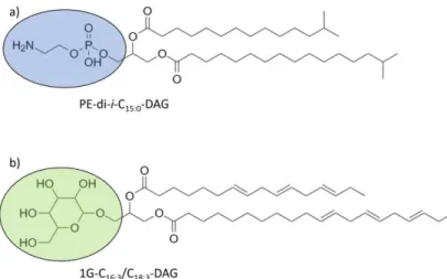 Figure  4:  Phospho-(a)  and  glycolipid  (b)  examples  for  labile  intact  polar  lipids and associated fatty acid side chains