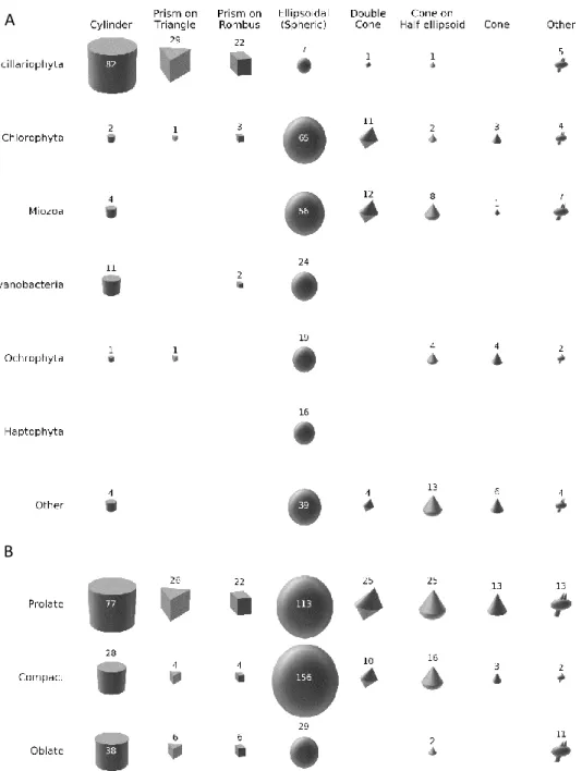 Fig. 1. Diversity distribution of various shape types (columns) across phyla (A, rows) and across cell 483 