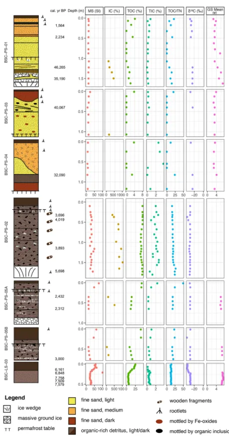 Fig. 5    Sediment sections and  measured properties including  MS, IC (ice contents), TOC,  TIC, TOC/TN, δ 13 C, and  grain-size composition (GS)