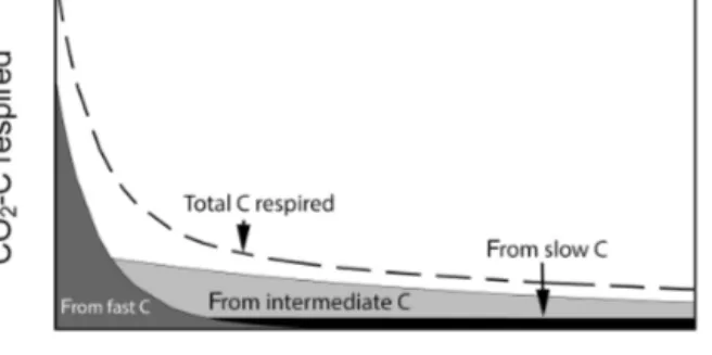 Figure 1. Conceptual figure of C respiration during aerobic soil incubations. Total CO 2 − C flux is composed of contributions from different C pools which changes over time