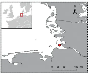Fig. 1. Sampling location of brown shrimp Crangon crangon in the Weser estuary in the German Bight, North Sea 