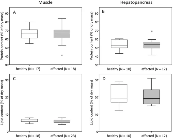 Fig. 4. Total protein contents in (A) muscle tissue and (B) hepatopancreas, and total lipid contents in (C) muscle and (D) hepatopancreas of healthy and shell-disease affected Crangon crangon