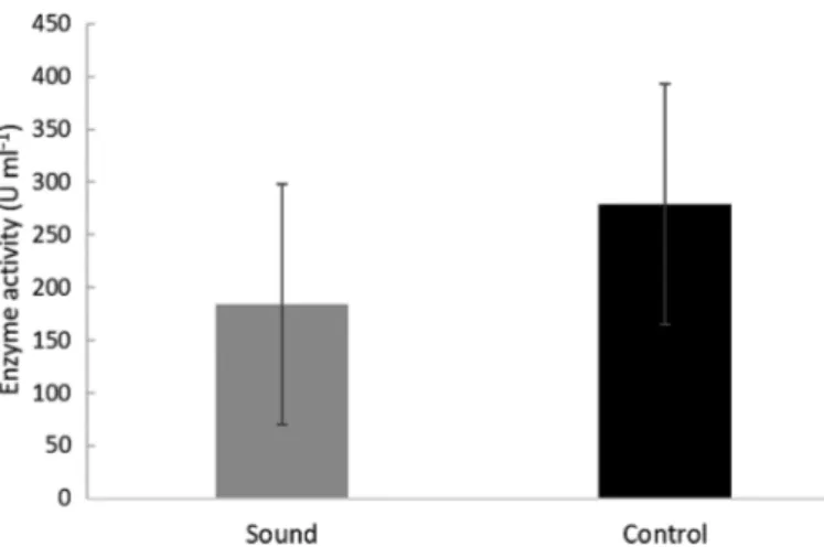 Fig. 4. Whiteleg shrimp total haemocyte count (THC- (THC-absolute) (individual animal means, n = 9 for both) in sound and control treatments at experimental completion after 