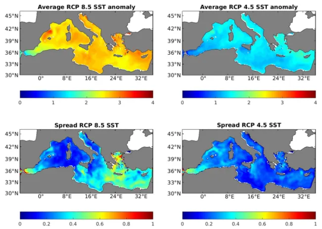 Fig. 3    Average SST anomalies (°C) for the RCP 8.5 runs (top left) and RCP 4.5 runs (top right)