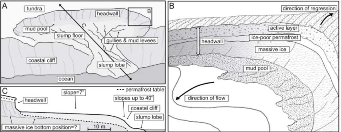 Figure 2: Schematic of retrogressive thaw slumps (A), headwall (B) and (C) cross-section structures after Lantuit and Pollard 2005