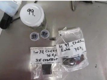 Figure 13: Subsampling for different analyses in cooling chamber: Nasco Whirl-Pack referred to as “Extra” as backup samples for subsequent analyses if necessary and the cuboid for ice content