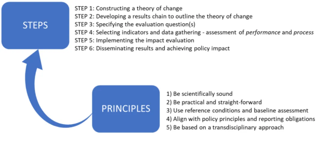 Figure 2-4. General steps and main principles involved in the development and implementation of an  impact evaluation plan
