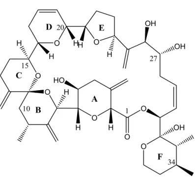 Figure 1. Chemical structure of goniodomin A.
