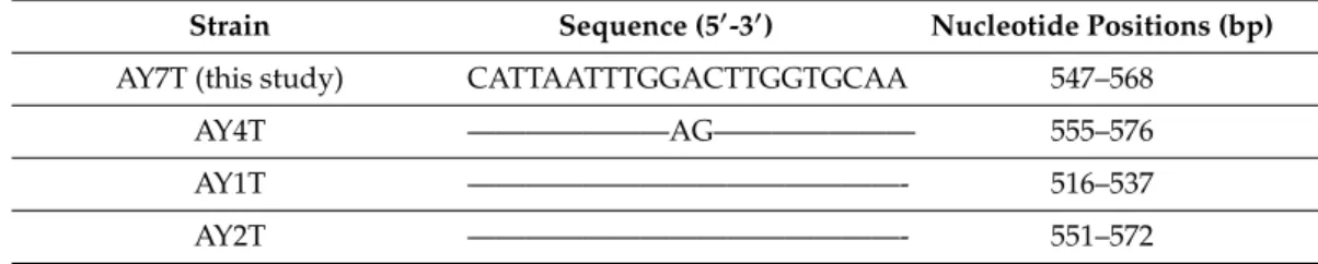 Table 1. Sequence alignment of the homologous fragment for the A. taylorii large subunit (LSU) sequences.