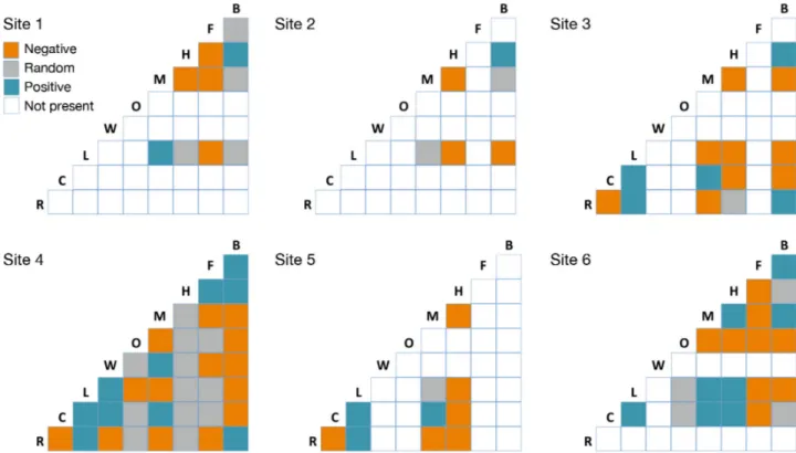 Fig. 5. Species co-occurrence showing significant negative (orange), positive (blue) and random (grey) associations between species for each of the 6 sites