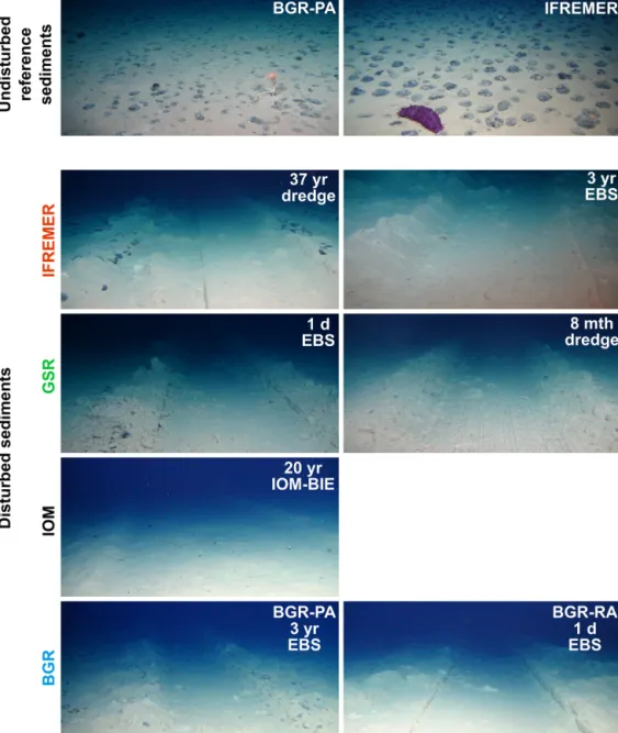 Figure 2. Examples of undisturbed reference sediments in the German BGR-PA area and the French IFREMER area and pictures of small- small-scale disturbances for the simulation of deep-sea mining within the CCZ, which are investigated in the framework of thi