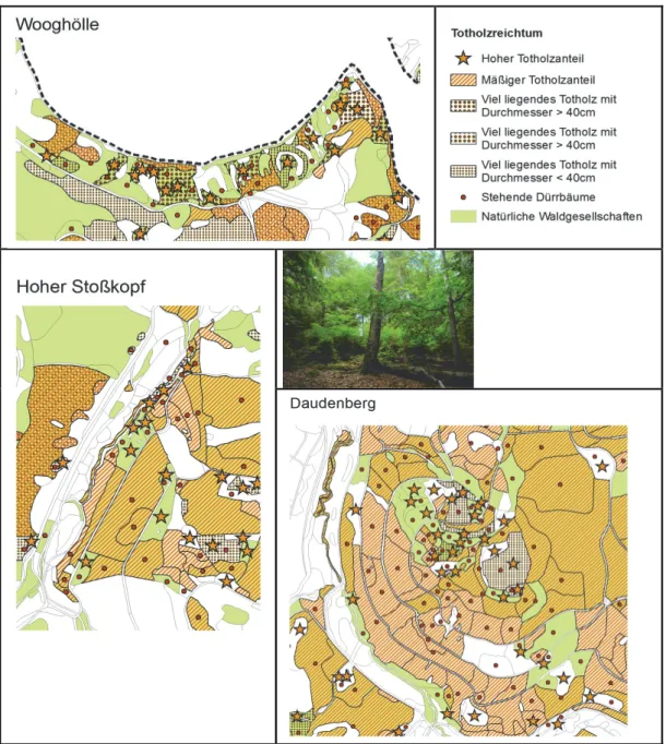 Abb. A1: Detailkarten zum „Totholzreichtum“ – Auswahl von Bereichen des Nationalparks mit einer hohen Anzahl an Totholz‐Strukturen