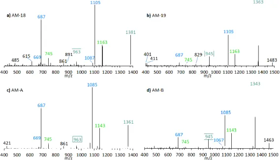 Figure 5. CID-Spectra of detected AM, which only display low abundant fragments resulting from  the  C1′/C1  cleavage