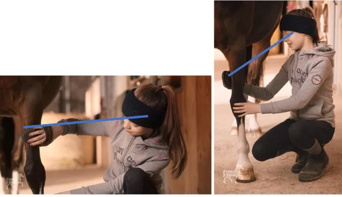 Abbildung 9 zeigt eine Putzszene ganz am Anfang des Videos. Das junge Mädchen putzt das  Pony  seitlich  neben  dem  linken  Vorderbein  hockend