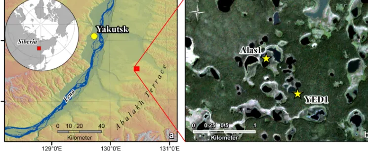 Figure 1. Study site overview: (a) location of the Yukechi alas study site in central Yakutia on the edge of the Abalakh Terrace (circumpolar digital elevation model, Santoro and Strozzi, 2012); (b) locations of the Alas1 and the YED1 coring sites within t