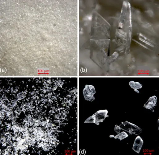 Figure 4. Comparison of cryogenic gypsum crystals collected from the water column at station PS45 (10 m water depth) (a, b) with crystals retrieved from an ice core collected above the ROVnet sampling area (c, d).