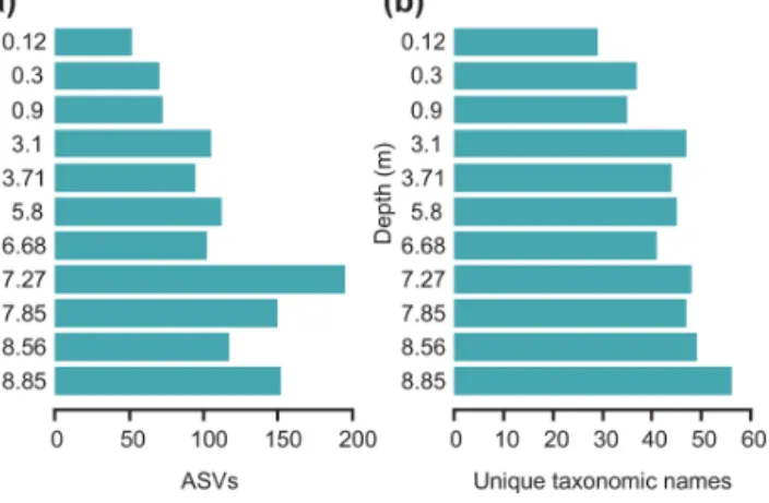 Figure 4. Bar plots showing the rarefied (a) number of amplicon se- se-quence variants (ASVs) per sample and (b) grouped ASVs assigned to the same taxonomic name for each sample with depth (m) of the sediment core MSM05/5-712-2.