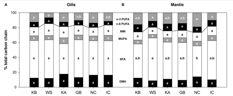 FIGURE 2 | Mitochondrial phospholipid carbon chain composition from A. islandica populations ranked from shortest- to longest-lived, in (A) gills and (B) mantle tissues