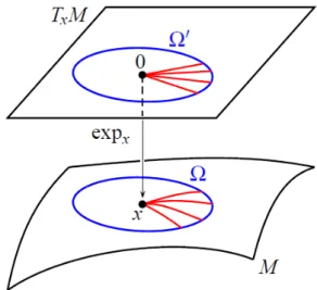 Figure 1: Ω is geodesically starshaped w.r.t. x. Picture source: [1]