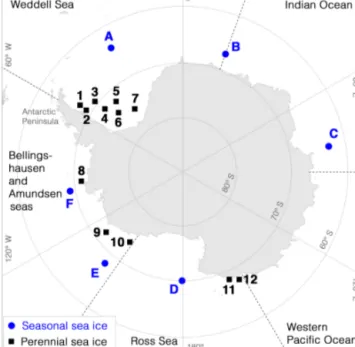 Figure 1. Map of Antarctica showing the 12 study locations in the perennial sea-ice zone (black squares, locations 1–12, same as used by Haas, 2001) and 6 study locations on seasonal sea ice (blue  cir-cles, regions A–F).