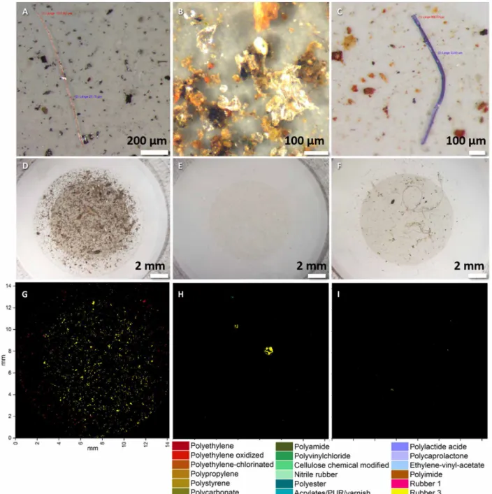 Fig. 3. Photographs of MPs detected in snow. (A) Polystyrene fiber from Svalbard 4 (length, 1101   m); (B) polypropylene particle from Heligoland (diameter, 256   m); 