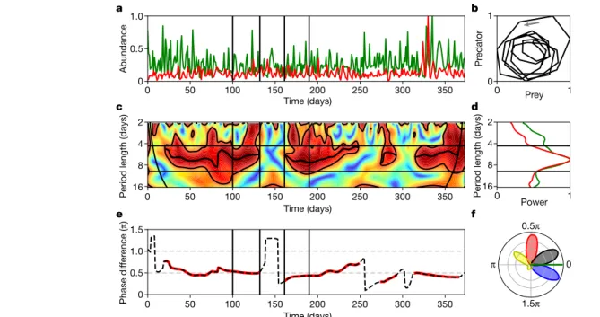Fig. 1 | Phase analysis of a year-long, oscillatory predator–prey time series  (experiment C1)
